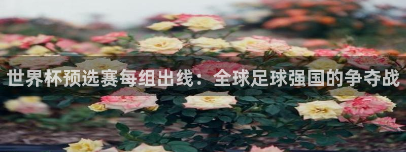 世界杯第一场比赛：世界杯预选赛每组出线：全球足球强国的争夺战