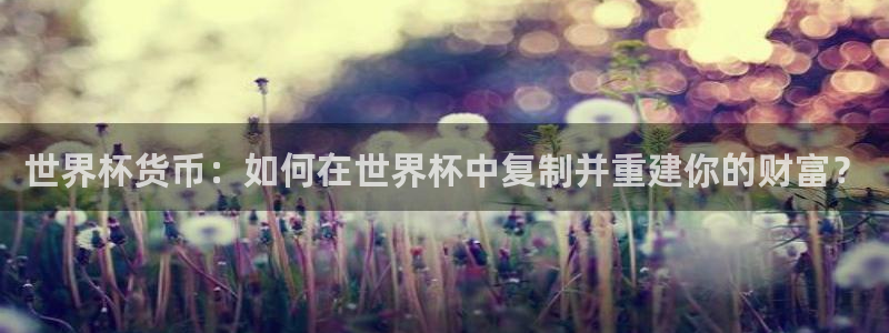 世界杯预选赛亚洲区赛程：世界杯货币：如何在世界杯中复制并重建你的财富？
