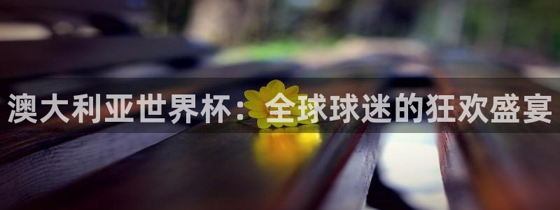 世界杯对阵图2026：澳大利亚世界杯：全球球迷的狂欢盛宴