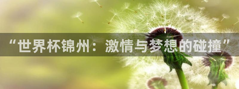 世界杯足球:“世界杯锦州:激情与梦想的碰撞”
