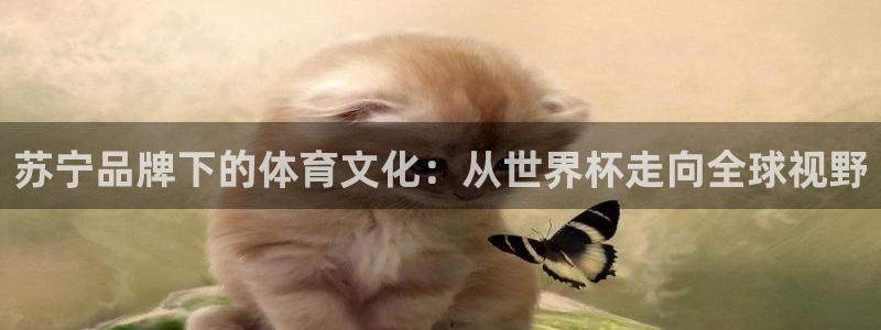 世界杯比赛时间：苏宁品牌下的体育文化：从世界杯走向全球视野