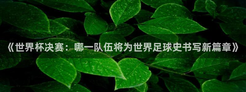 世界杯直播时间：《世界杯决赛：哪一队伍将为世界足球史书写新篇章》