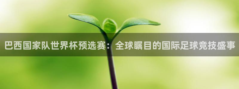 世界杯足球赛2026赛程时间：巴西国家队世界杯预选赛：全球瞩目的国际足球竞技盛事