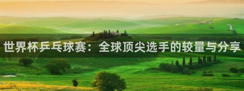 亚洲区世界杯预选赛：世界杯乒乓球赛：全球顶尖选手的较量与分享