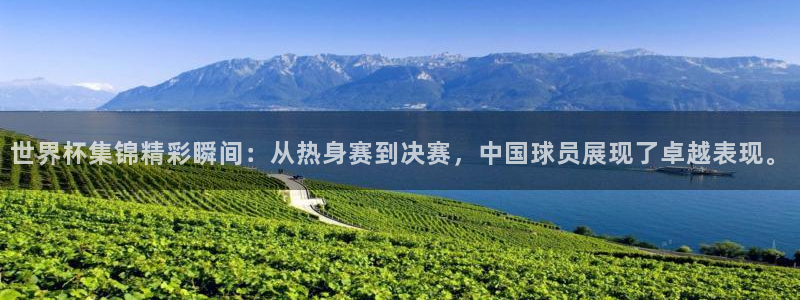 世预赛赛程表：世界杯集锦精彩瞬间：从热身赛到决赛，中国球员展现了卓越表现。
