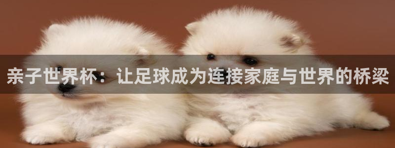 世界杯直播：亲子世界杯：让足球成为连接家庭与世界的桥梁