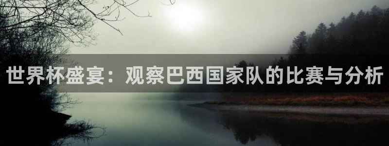 世界杯官网入口：世界杯盛宴：观察巴西国家队的比赛与分析